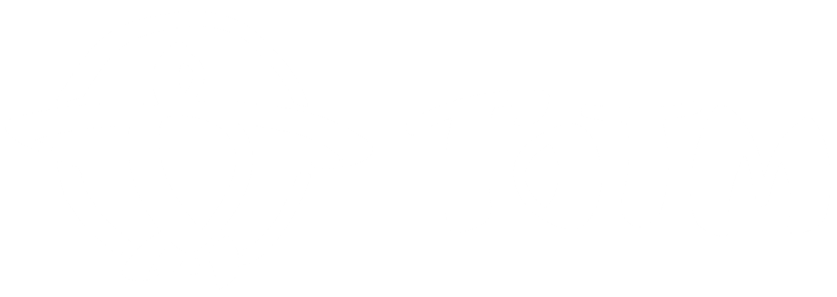 Logo Dark
