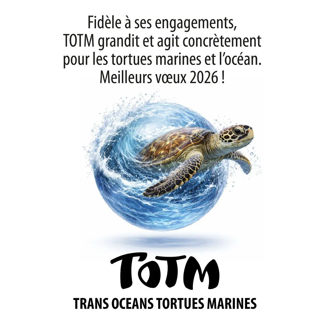 Voeux 2026