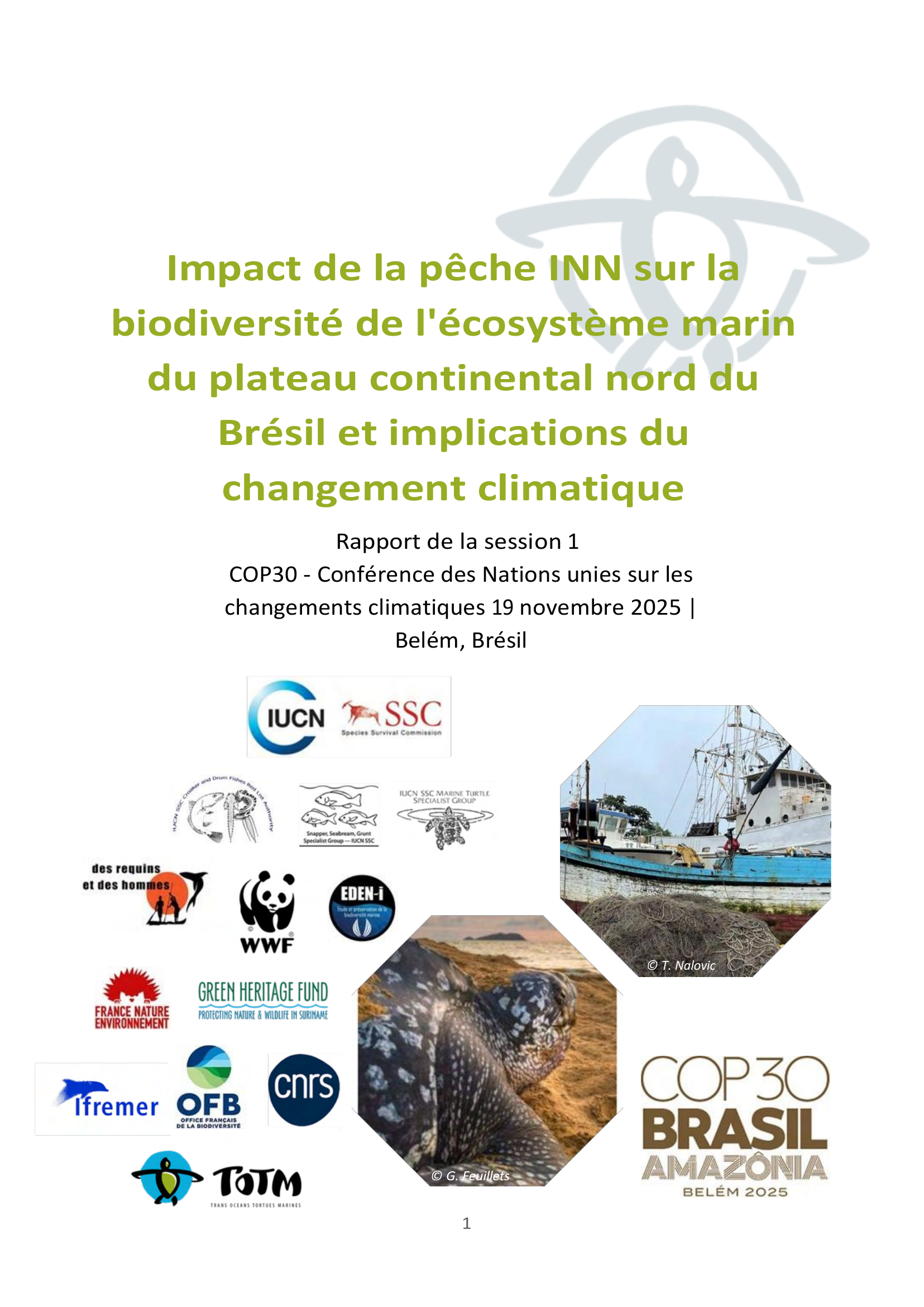 SUMMARY SESSION 1 COP 30 NOV 19 2025_fr.png