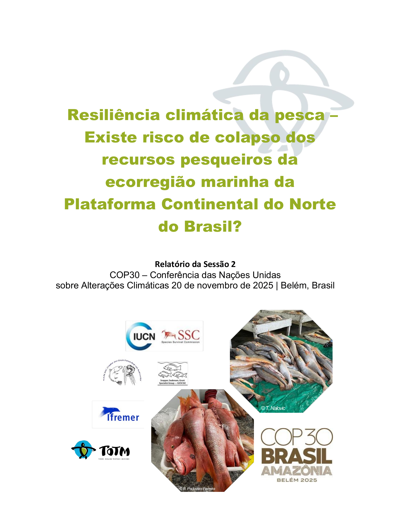 SUMMARY SESSION 2 COP 30 NOV 20 2025 PT.png