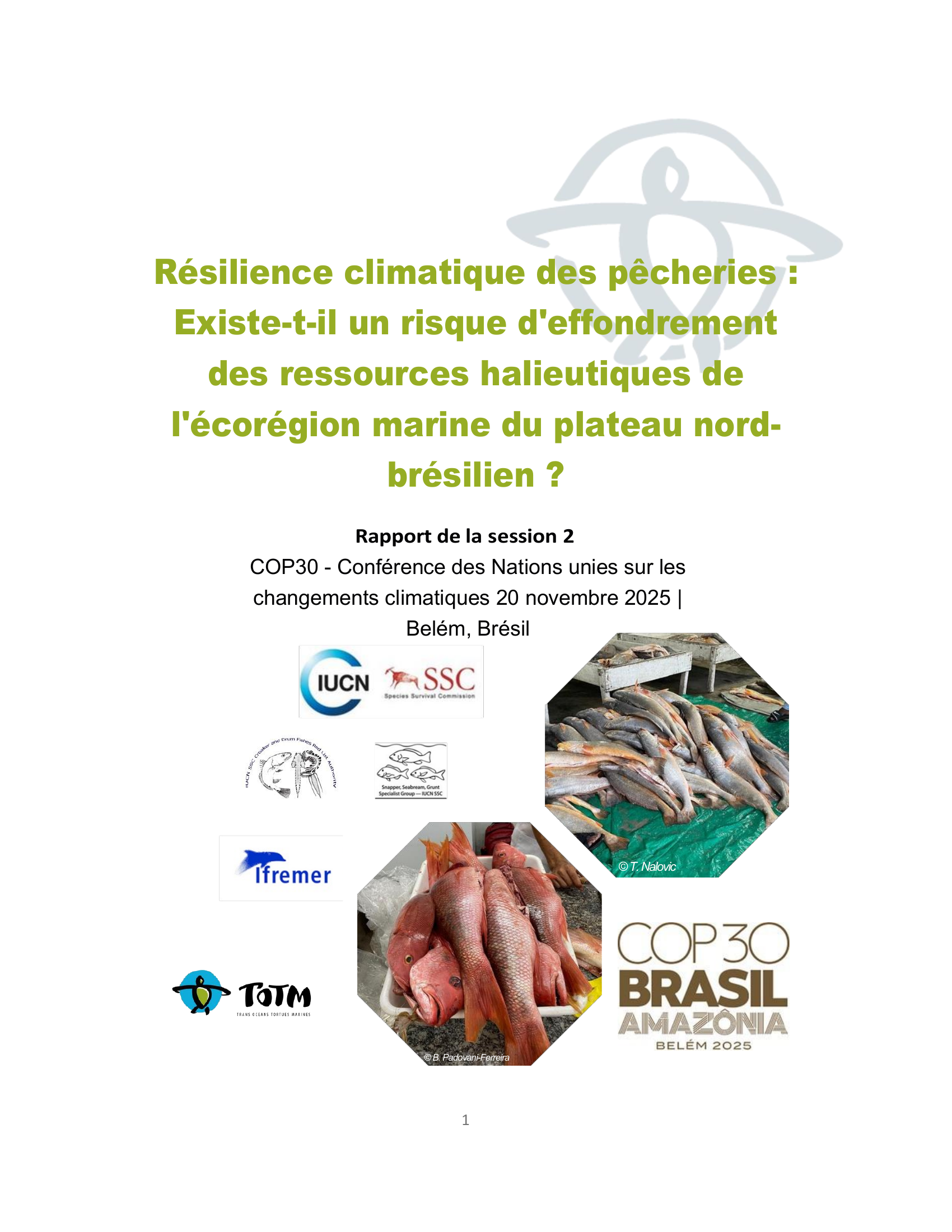 SUMMARY_SESSION_2_COP_30_NOV_20_2025_fr.png