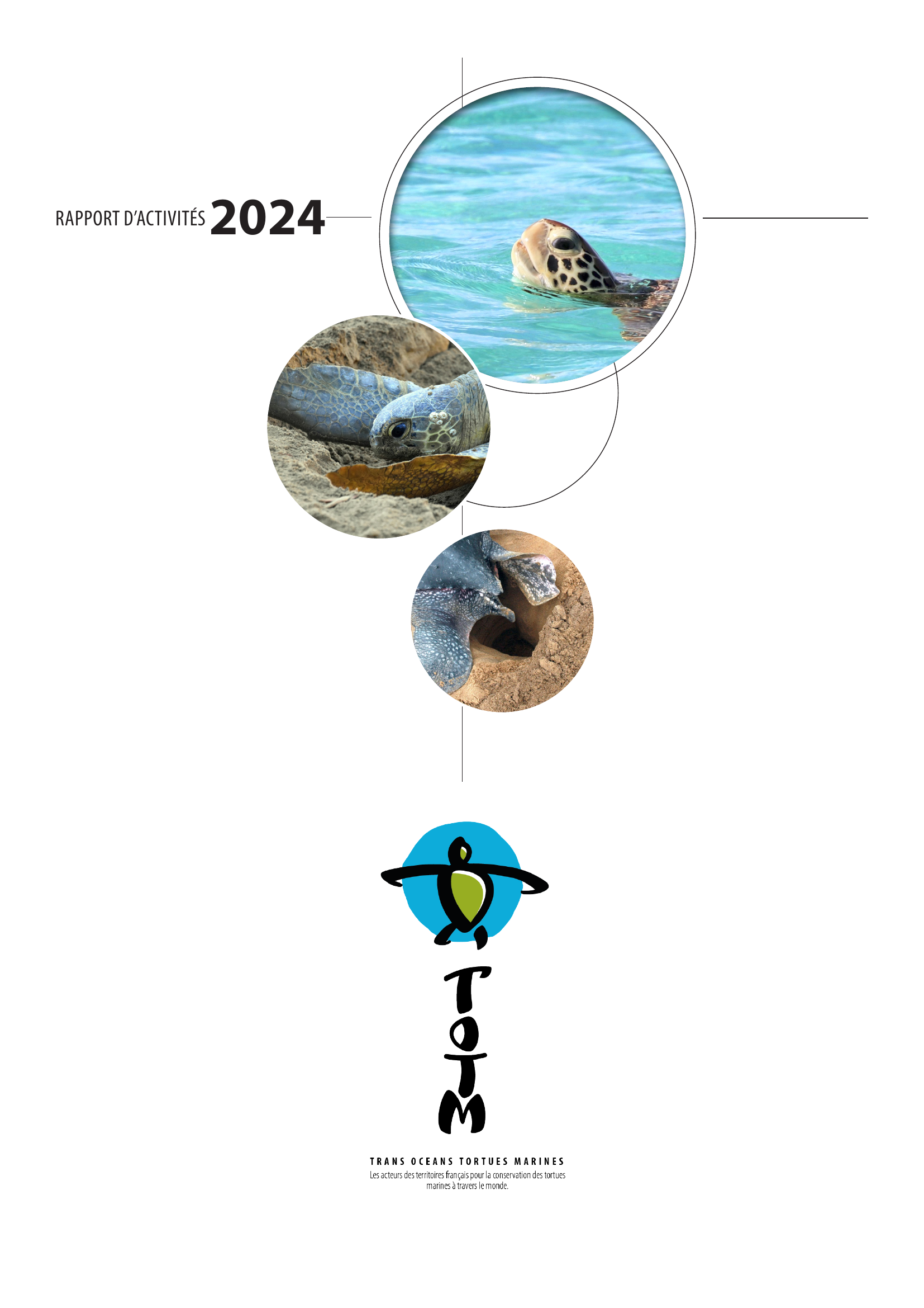 Rapport d'activités 2024