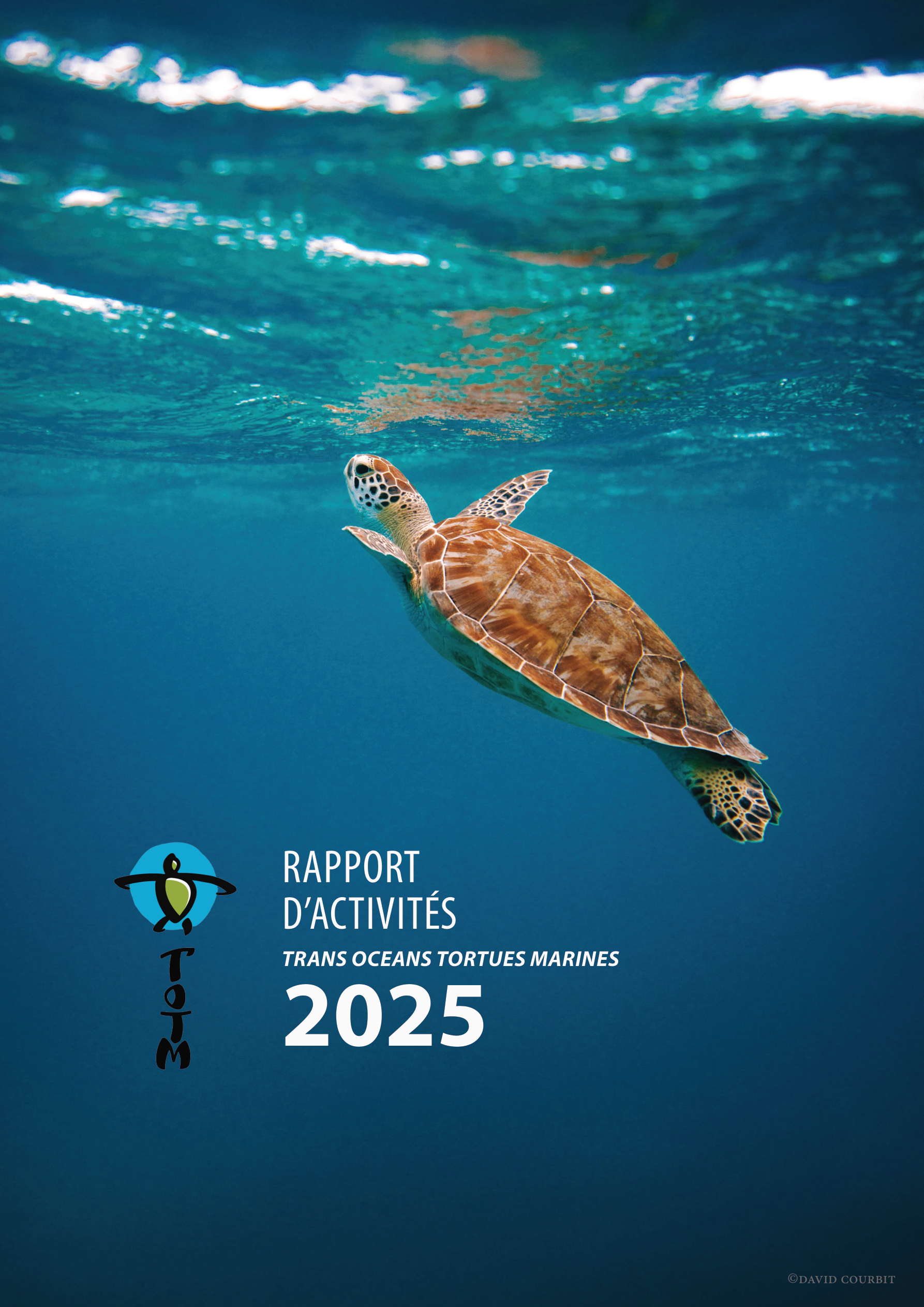 2025 Activity Report - French Version